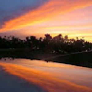 Meet your Posher, Renata